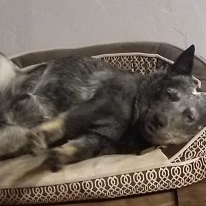 Meet your Posher, Nathaniel